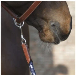 Antarès Lead Rope 7 Antarès Lead Rope -Weaver Leather Store lead rope navy brown clip LIC2 antares 27398.1643754806