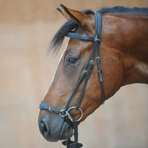 Kavalkade Levana Drop Noseband Bridle 3 Kavalkade Levana Drop Noseband Bridle