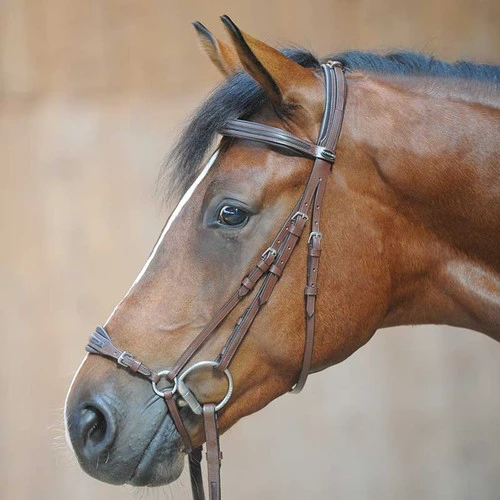 Kavalkade Levana Drop Noseband Bridle 4 Kavalkade Levana Drop Noseband Bridle - Image 2
