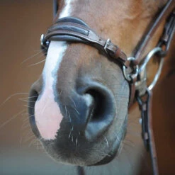 Kavalkade Levana Drop Noseband Bridle 7 Kavalkade Levana Drop Noseband Bridle -Weaver Leather Store levana drop noseband bridle nose kavalkade 19037 57468.1555698688