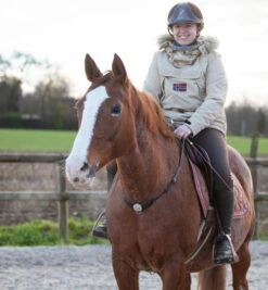 In Horse We Trust Liberty Neck Strap -Weaver Leather Store liberty neck strap havana on horse NECK STRAP in horse we trust 83032.1658788014