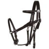 Tucker Halter Bridle Lite -Weaver Leather Store lite halter bridle black chrome 0109 0102 tucker 64799.1671830939