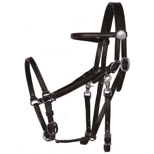Tucker Halter Bridle Lite 3 Tucker Halter Bridle Lite