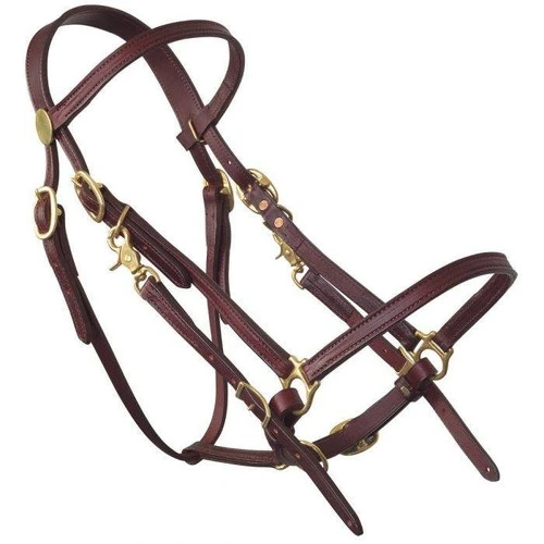 Tucker Halter Bridle Lite 4 Tucker Halter Bridle Lite - Image 2