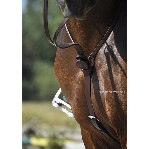 In Horse We Trust C-Cure Running Martingale 8 In Horse We Trust C-Cure Running Martingale - Image 6