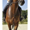 In Horse We Trust C-Cure Running Martingale 2 In Horse We Trust C-Cure Running Martingale -Weaver Leather Store martingale c cure havana horse ihwt 51816.1564448670