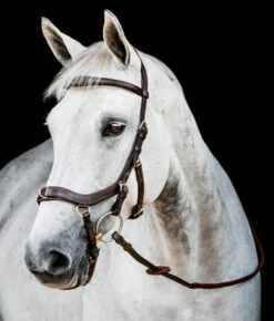 Horseware Ireland Horseware Micklem 2 Multi Bridle -Weaver Leather Store micklem 2 multi bridle havana sbmxm0 nab0 HW 37747.1689872130