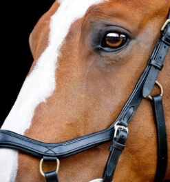 Horseware Ireland Horseware Micklem 2 Competition Bridle -Weaver Leather Store micklem2 competition bridle black cheeckpiece SBMOM2 K000 SC horseware ireland 98680.1689872525