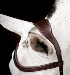 Horseware Ireland Horseware Micklem 2 Competition Bridle -Weaver Leather Store micklem2 competition bridle havana crownpiece SBMOM2 NAB0 SC horseware ireland 96447.1689872491