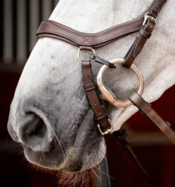 Horseware Ireland Horseware Micklem 2 Competition Bridle -Weaver Leather Store micklem2 competition bridle havana noseband SBMOM2 NAB0 SC horseware ireland 20194.1689872520