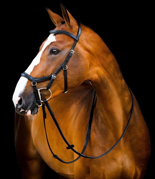 Horseware Ireland Horseware Micklem 2 Deluxe Competition Bridle 6 Horseware Ireland Horseware Micklem 2 Deluxe Competition Bridle - Image 4