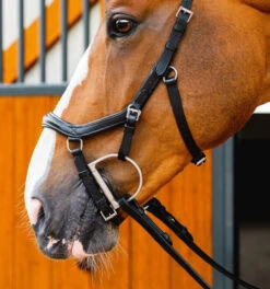 Horseware Ireland Horseware Micklem 2 Deluxe Competition Bridle 13 Horseware Ireland Horseware Micklem 2 Deluxe Competition Bridle -Weaver Leather Store micklem2 dlx competition black cheekpieceSBMUM2 K000 SC horseware ireland 23067.1689873947