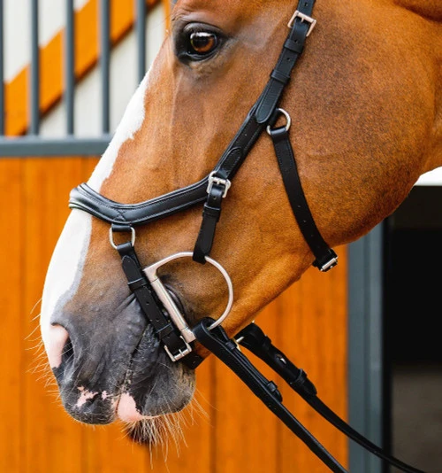 Horseware Ireland Horseware Micklem 2 Deluxe Competition Bridle 7 Horseware Ireland Horseware Micklem 2 Deluxe Competition Bridle - Image 5