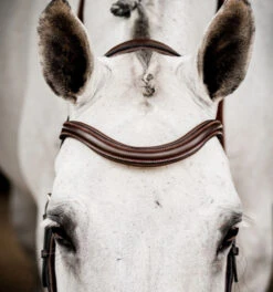 Horseware Ireland Horseware Micklem 2 Deluxe Competition Bridle 15 Horseware Ireland Horseware Micklem 2 Deluxe Competition Bridle -Weaver Leather Store micklem2 dlx competition havana browband SBMUM2 NAB0 SC horseware ireland 79266.1689874481