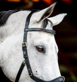 Horseware Ireland Horseware Micklem 2 Multi Bridle -Weaver Leather Store micklem2 multibridle black cheekpiece SBMXM1 K000 LC HW 96136.1689871555