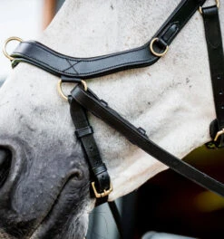 Horseware Ireland Horseware Micklem 2 Multi Bridle -Weaver Leather Store micklem2 multibridle black noseband SBMXM1 K000 LC HW 99249.1689871620