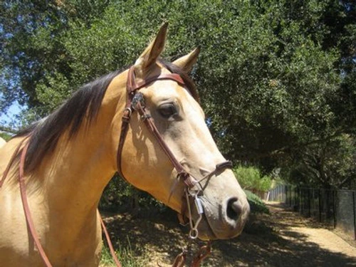 Mikmar Feather Bit 3 Mikmar Feather Bit