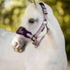 Mini LeMieux Vogue Halter & Lead Rope -Weaver Leather Store mini vogue headcollar fig pony lemieux 06965.1689972067