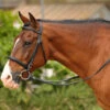 Bobby's English Tack Padded Snaffle Bridle 1 Bobby's English Tack Padded Snaffle Bridle -Weaver Leather Store mtf bet wally noflash 0028e1000 30839 13731.1640901768