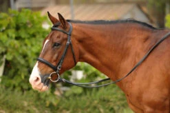 Bobby's English Tack Padded Snaffle Bridle