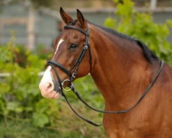 Bobby's English Tack Padded Snaffle Bridle -Weaver Leather Store mtf tackbet wally2e1000 69346 03004.1640901778