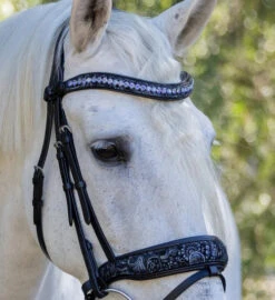 Halter Ego Munich Navy Floral Snaffle Bridle -Weaver Leather Store munich navy floral snaffle navy navy detail MUNICH halter ego 04698.1682639421