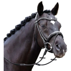 Passier Neptune Rolled Snaffle Bridle 5 Passier Neptune Rolled Snaffle Bridle -Weaver Leather Store neptune bridle black crystal brow horse 855 passier 30948.1690228269