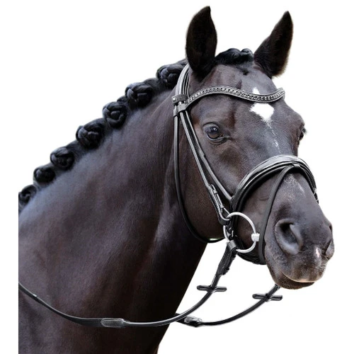 Passier Neptune Rolled Snaffle Bridle 4 Passier Neptune Rolled Snaffle Bridle - Image 2