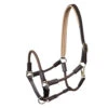 Waldhausen Nevada Hybrid Halter -Weaver Leather Store nevada hybrid halter brown gold 5050230 waldhausen 41556.1657228140
