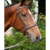 Nunn Finer Newmarket Shank Lead -Weaver Leather Store newmarket shank havana bay horse nunn finer 70404.1587245498