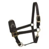 Perri's Nylon Lunge Cavesson -Weaver Leather Store nylon lunge halter black 805H perris 26069.1684772374
