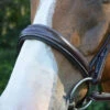 Red Barn Ocala Wide Contour Bridle 2 Red Barn Ocala Wide Contour Bridle -Weaver Leather Store ocala bridle brown noseband red barn 75409.1684371963