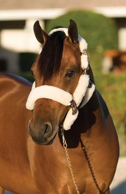 Ovation Sheepskin Pony Shipping Halter 5 Ovation Sheepskin Pony Shipping Halter - Image 3