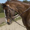Ovation Stretch Cord Draw Reins -Weaver Leather Store ovation stretch cord draw reins 2 73056 95347.1527291793