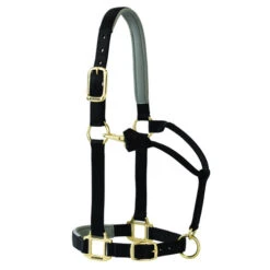 Weaver Leather Weaver Padded Adjustable Halter 5 Weaver Leather Weaver Padded Adjustable Halter -Weaver Leather Store padded adjustable halter black 357786P1 weaver 30225.1576366520