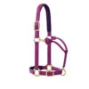 Weaver Leather Weaver Padded Adjustable Halter 1 Weaver Leather Weaver Padded Adjustable Halter -Weaver Leather Store padded adjustable halter dahlia purple 35 778 weaver 46897.1606080010