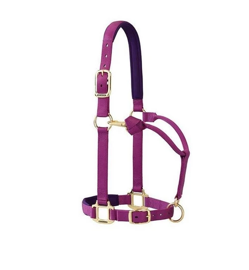 Weaver Leather Weaver Padded Adjustable Halter 3 Weaver Leather Weaver Padded Adjustable Halter