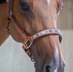 PÉNÉLOPE Pénélope Pearl Leather Halter -Weaver Leather Store pearl halter cognac noseband1 510 311 302 penelope 65794.1688687941