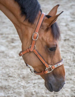 PÉNÉLOPE Pénélope Pearl Leather Halter -Weaver Leather Store pearl halter cognac right 510 311 302 penelope 67285.1688685427