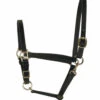 Perri's 3/4-Inch Leather Turnout Halter -Weaver Leather Store perri s 3 4 inch leather turnout halter 1 92560 01541.1527297524