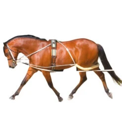Pessoa Lunging System