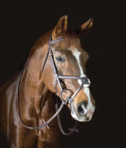 Pessoa PRO Fancy Stitched Figure-8 Bridle -Weaver Leather Store pessoa pro fs figure 8 bridle brown horse 470463 pessoa 73072.1633289829