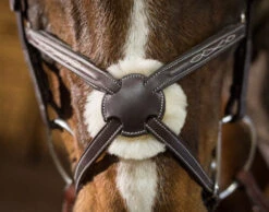 Pessoa PRO Fancy Stitched Figure-8 Bridle -Weaver Leather Store pessoa pro fs figure 8 bridle brown nose 470463 pessoa 99095.1633289826