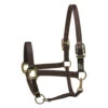 Perri's Premium Nylon Safety Halter 2 Perri's Premium Nylon Safety Halter -Weaver Leather Store premium nylon safety halter black 150HBL perris 43207.1684804357