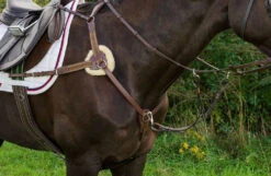 Henri De Rivel Pro 5-Point Elastic Breastplate 7 Henri De Rivel Pro 5-Point Elastic Breastplate -Weaver Leather Store pro 5 point elastic breastplate australian nut horse 5098 08 hdr 83155.1672253974