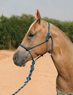 Professional's Choice Rope Halter With 10 Foot Lead 12 Professional's Choice Rope Halter With 10 Foot Lead -Weaver Leather Store professional s choice rope halter with 10ft lead 1 67619 07307.1537223883