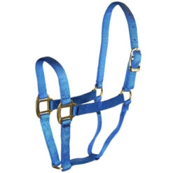 Hamilton Quality 1" Nylon Halter 18 Hamilton Quality 1" Nylon Halter -Weaver Leather Store quality 1in nylon halter berry blue 1Q BY hamilton 67147.1685665703