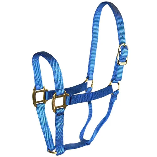 Hamilton Quality 1" Nylon Halter 10 Hamilton Quality 1" Nylon Halter - Image 8