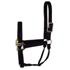 Hamilton Quality 1" Nylon Halter 17 Hamilton Quality 1" Nylon Halter -Weaver Leather Store quality 1in nylon halter black 1Q hamilton 13858.1685665721