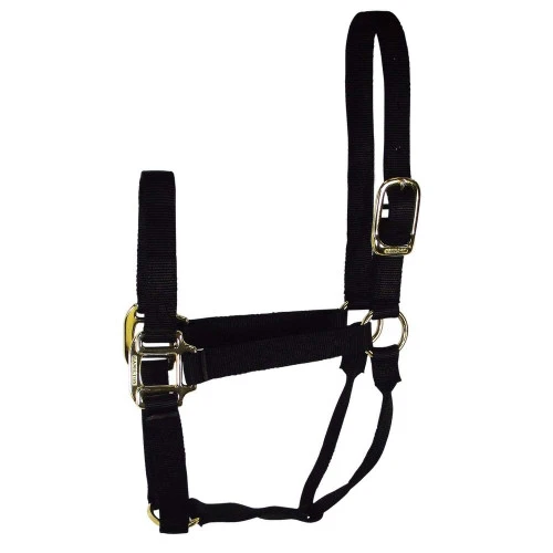 Hamilton Quality 1" Nylon Halter 9 Hamilton Quality 1" Nylon Halter - Image 7
